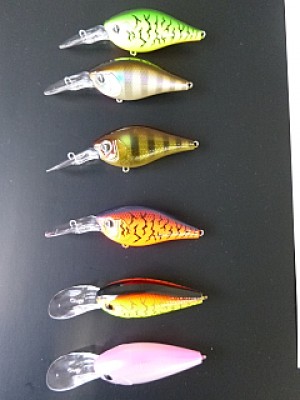 truth diary ブログ写真 2013/10/09