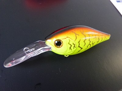 truth diary ブログ写真 2013/10/09