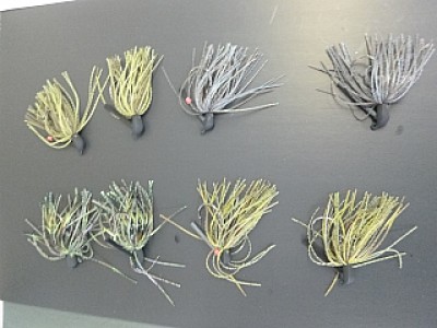 truth diary ブログ写真 2013/10/12