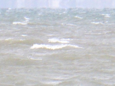 truth diary ブログ写真 2013/10/18