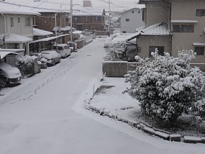 truth diary ブログ写真 2014/01/11