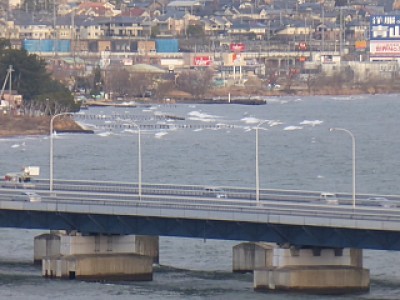 truth diary ブログ写真 2014/02/11