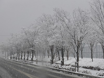 truth diary ブログ写真 2014/02/14