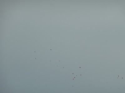 truth diary ブログ写真 2014/06/04