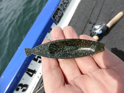 truth diary ブログ写真 2014/06/05