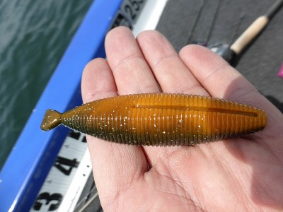 truth diary ブログ写真 2014/06/05