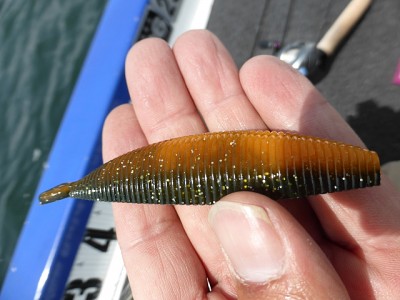 truth diary ブログ写真 2014/06/05