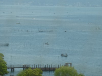 truth diary ブログ写真 2014/06/09