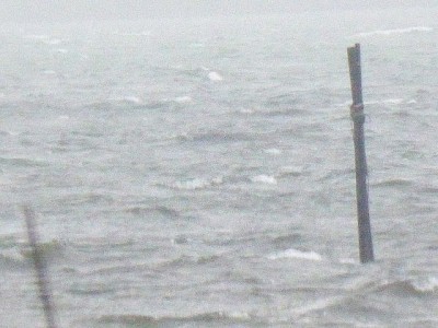 truth diary ブログ写真 2014/08/11