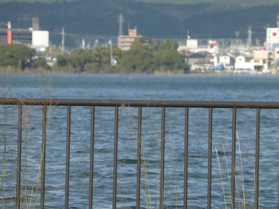 truth diary ブログ写真 2014/11/04