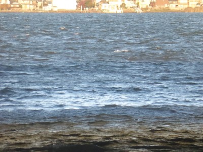 truth diary ブログ写真 2014/11/13