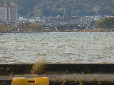 truth diary ブログ写真 2014/12/04