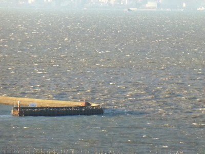 truth diary ブログ写真 2014/12/17