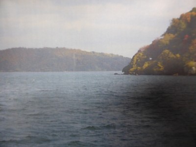 truth diary ブログ写真 2014/12/17