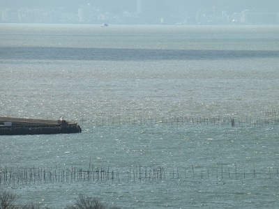 truth diary ブログ写真 2014/12/23