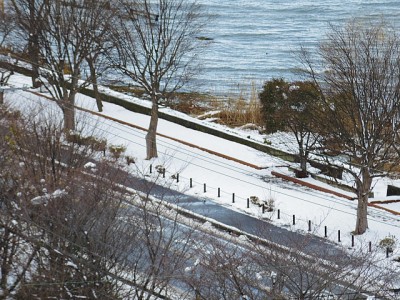 truth diary ブログ写真 2015/01/02