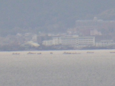 truth diary ブログ写真 2015/01/13