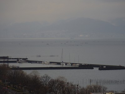 truth diary ブログ写真 2015/01/22