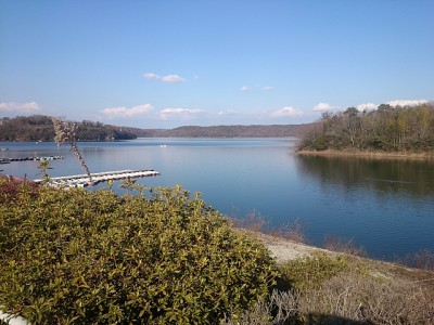 truth diary ブログ写真 2015/02/05