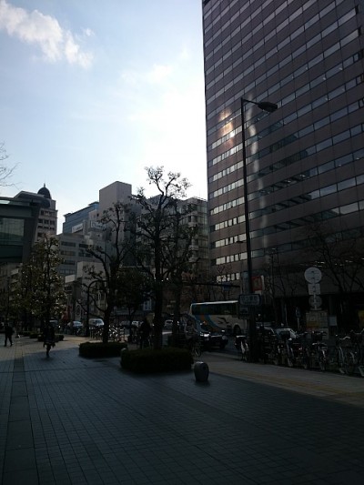 truth diary ブログ写真 2015/02/05