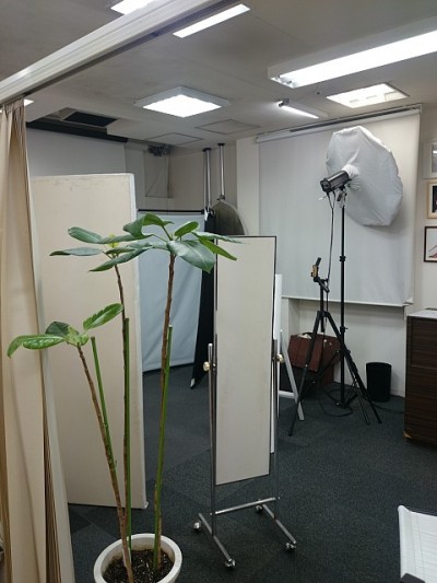 truth diary ブログ写真 2015/02/05