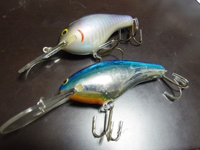 truth diary ブログ写真 2015/02/15