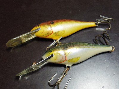 truth diary ブログ写真 2015/02/15