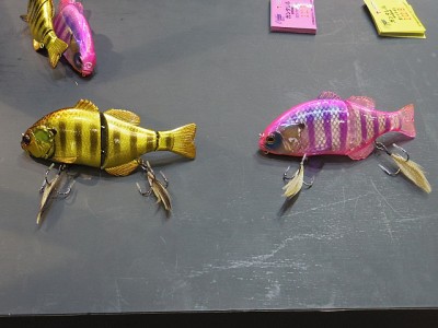 truth diary ブログ写真 2015/02/24