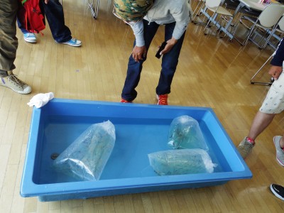 truth truth_diary ブログ写真 2015/05/10