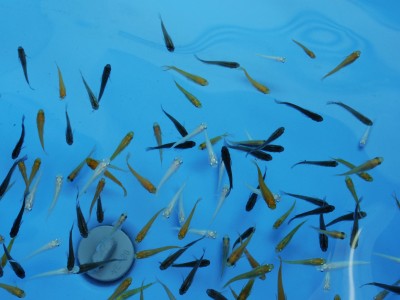 truth truth_diary ブログ写真 2015/05/10