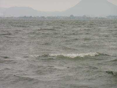 truth truth_diary ブログ写真 2015/05/18