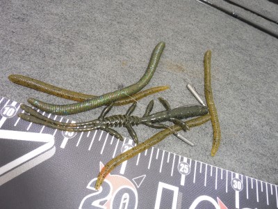 truth truth_diary ブログ写真 2015/05/18