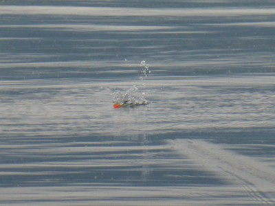 truth truth_diary ブログ写真 2015/07/01