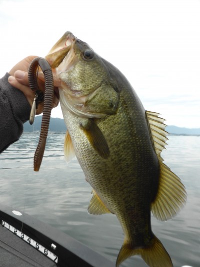 truth truth_diary ブログ写真 2015/07/01