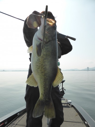 truth truth_diary ブログ写真 2015/07/01