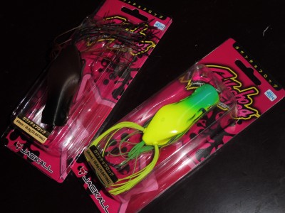 truth truth_diary ブログ写真 2015/07/05