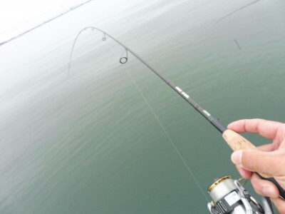 truth truth_diary ブログ写真 2015/07/11