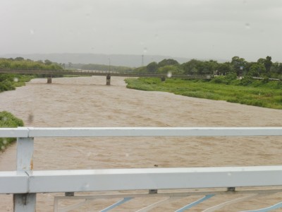 truth truth_diary ブログ写真 2015/07/17