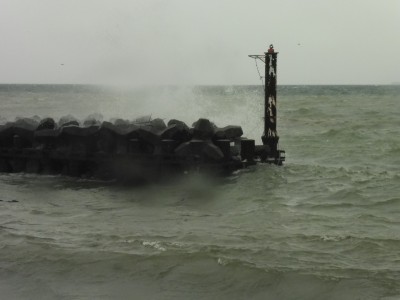 truth truth_diary ブログ写真 2015/07/17