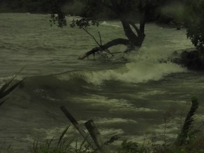 truth truth_diary ブログ写真 2015/07/17