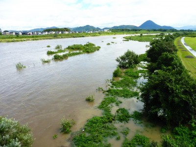 truth truth_diary ブログ写真 2015/09/09