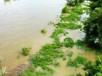 truth truth_diary ブログ写真 2015/09/09