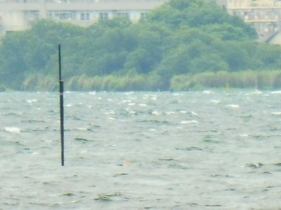 truth truth_diary ブログ写真 2015/09/09