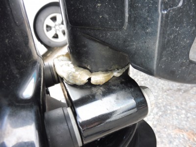 truth truth_diary ブログ写真 2015/09/11