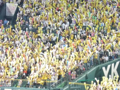 truth truth_diary ブログ写真 2015/09/11