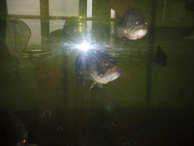 truth truth_diary ブログ写真 2015/09/11