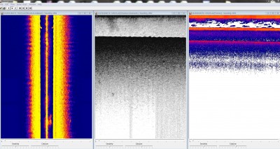 truth truth_diary ブログ写真 2015/11/11