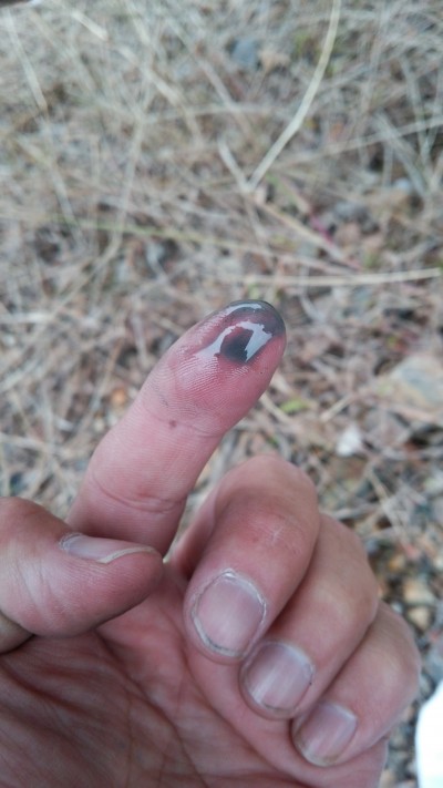 truth truth_diary ブログ写真 2015/11/23