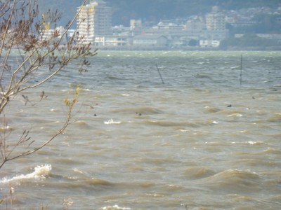 truth truth_diary ブログ写真 2015/12/04