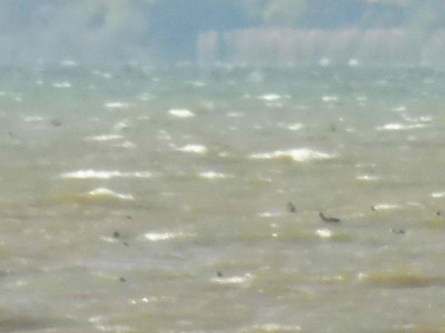 truth truth_diary ブログ写真 2015/12/04